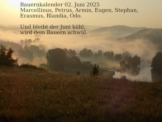 ../previews/006-020625-3.jpg.medium.jpeg