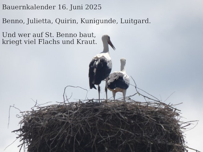 ../previews/062-160625-3.jpg.medium.jpeg