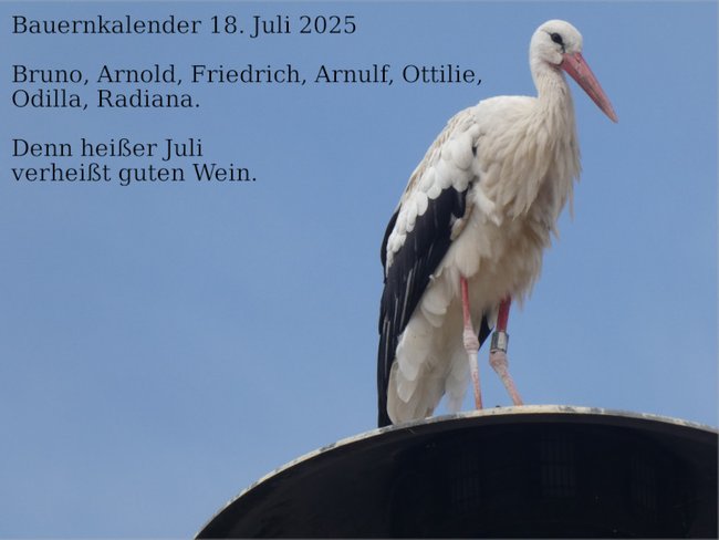 ../previews/070-180725-3.jpg.medium.jpeg