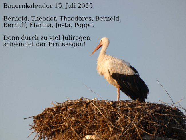 ../previews/074-190725-3.jpg.medium.jpeg