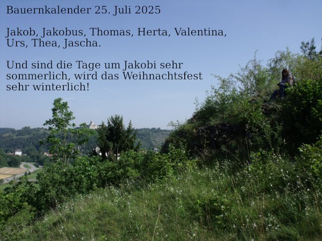 ../previews/098-250725-3.jpg.medium.jpeg