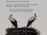 thumbnails/002-010625-3.jpg.small.jpeg