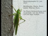 thumbnails/006-020725-3.jpg.small.jpeg