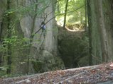 thumbnails/011-030725-4.jpg.small.jpeg