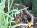 thumbnails/024-070625-1.jpg.small.jpeg