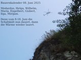 thumbnails/030-080625-3.jpg.small.jpeg