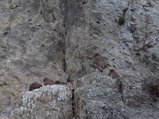 thumbnails/032-090625-1.jpg.small.jpeg