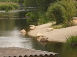 thumbnails/056-150625-1.jpg.small.jpeg