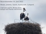 thumbnails/062-160625-3.jpg.small.jpeg