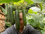 thumbnails/071-180725-4.jpg.small.jpeg