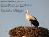 thumbnails/074-190725-3.jpg.small.jpeg