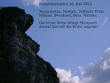 thumbnails/078-200725-3.jpg.small.jpeg