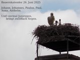 thumbnails/102-260625-3.jpg.small.jpeg