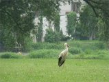 thumbnails/107-270725-4.jpg.small.jpeg