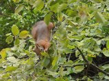 thumbnails/108-280725-1.jpg.small.jpeg