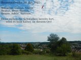 thumbnails/110-280725-3.jpg.small.jpeg